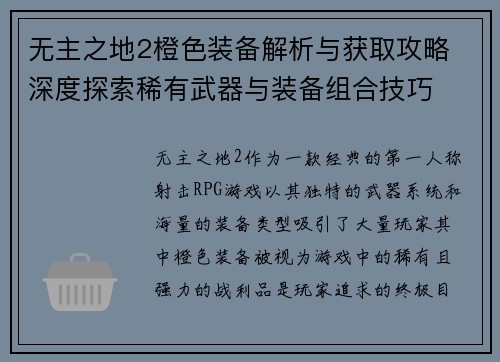 无主之地2橙色装备解析与获取攻略 深度探索稀有武器与装备组合技巧
