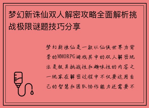 梦幻新诛仙双人解密攻略全面解析挑战极限谜题技巧分享